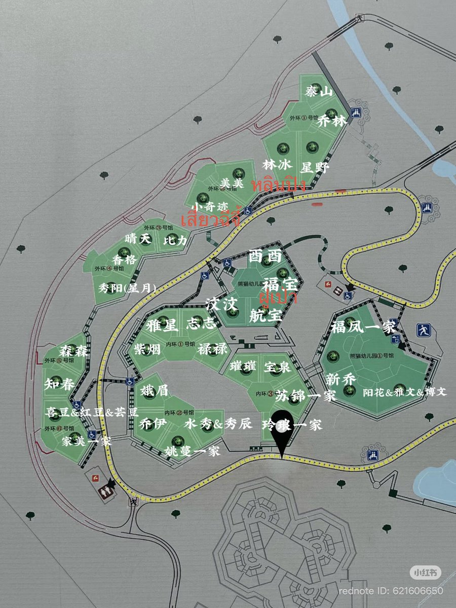 หลินปิงกลับมาโชว์ตัวแล้วค่าาา

หลินปิงเกิดปี 2009 ที่เชียงใหม่ พ่อคือช่วงช่วง แม่คือหลินฮุ่ย เป็นแพนด้าตัวแรกและตอนนี้เป็นตัวเดียวที่เกิดในไทย

ถ้าใครได้ไปเสินซู่ผิง ขอฝากความคิดถึงไปด้วยนะคะ บ้านน้องอยู่ใกล้ ๆ ฝูเป่ากับเสี่ยวฉีจี้ค่ะ♥️

Cr xhs XQJPanda, 旺旺碎冰冰
#linbing #林冰