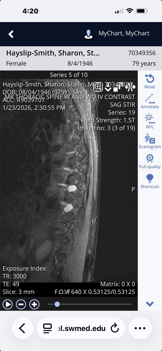 Sherry Hayslip Design tweet media