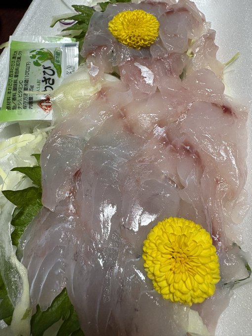 生まれて初めて甘鯛食べます 