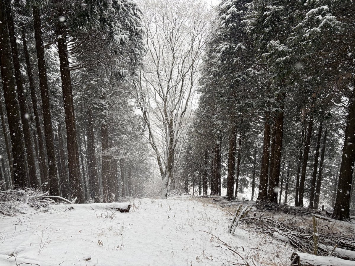 初登山で丹沢の三ノ塔に行ってきました
雪降ってましたがめっちゃ綺麗でした