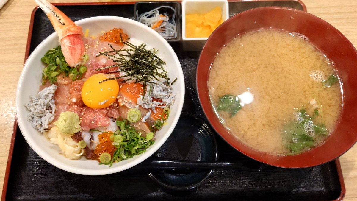 今日の🐟️