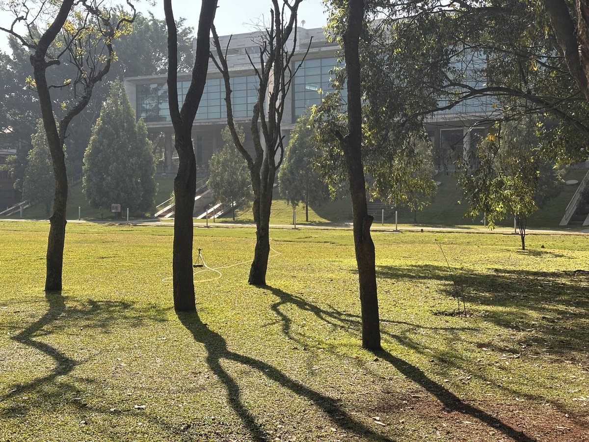 TLecuitLab tweet media