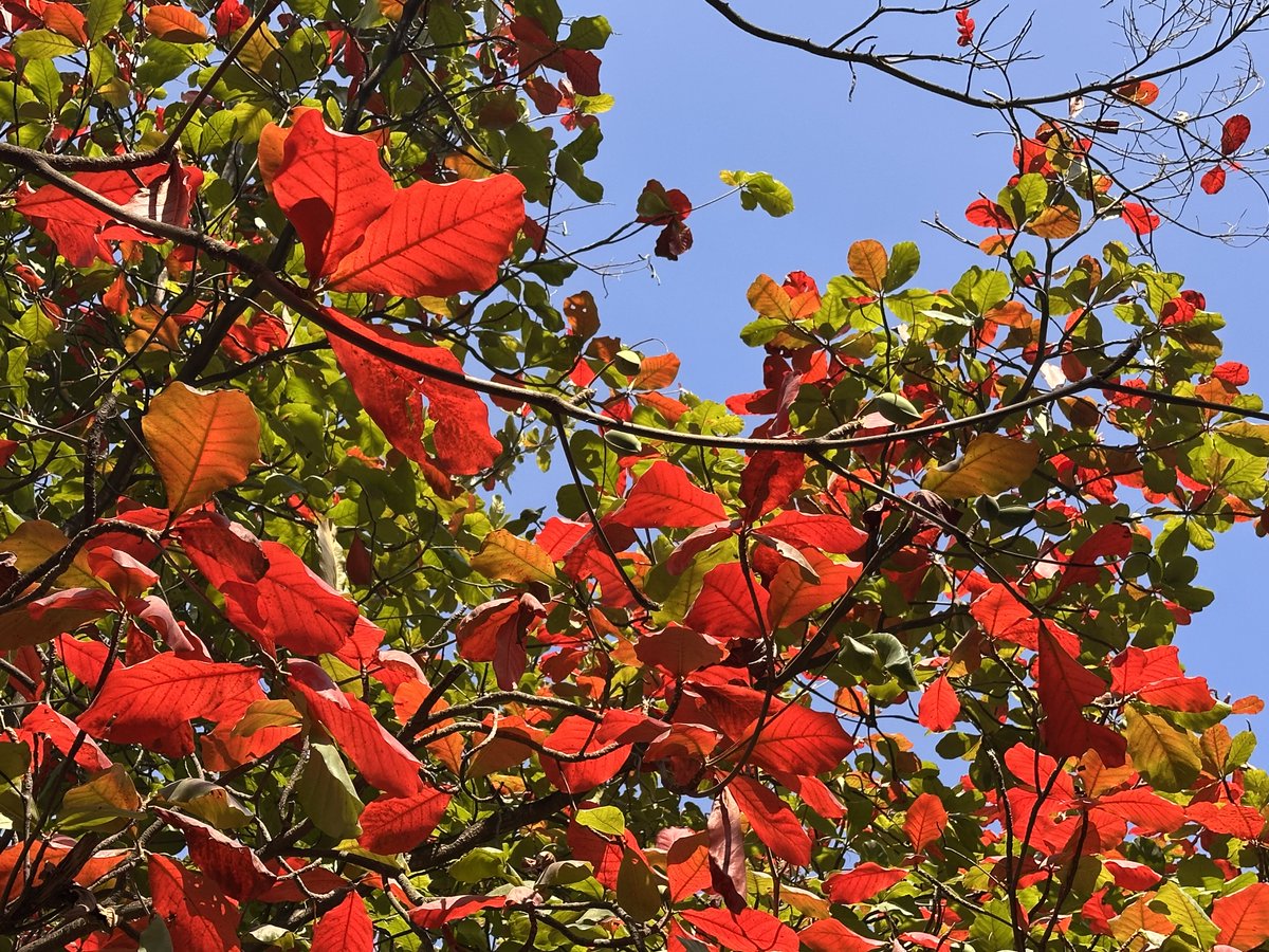 TLecuitLab tweet media