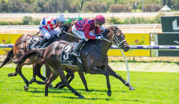 Michael Lane Racing tweet media