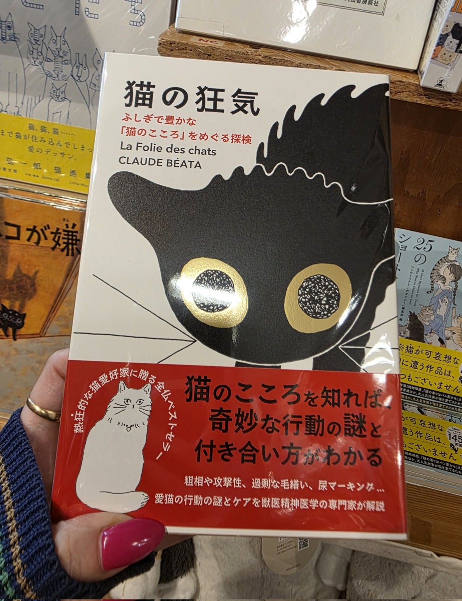 担当のおすすめはこちら #猫の狂気 #ねこまみれ帳 #ミロコマチコ