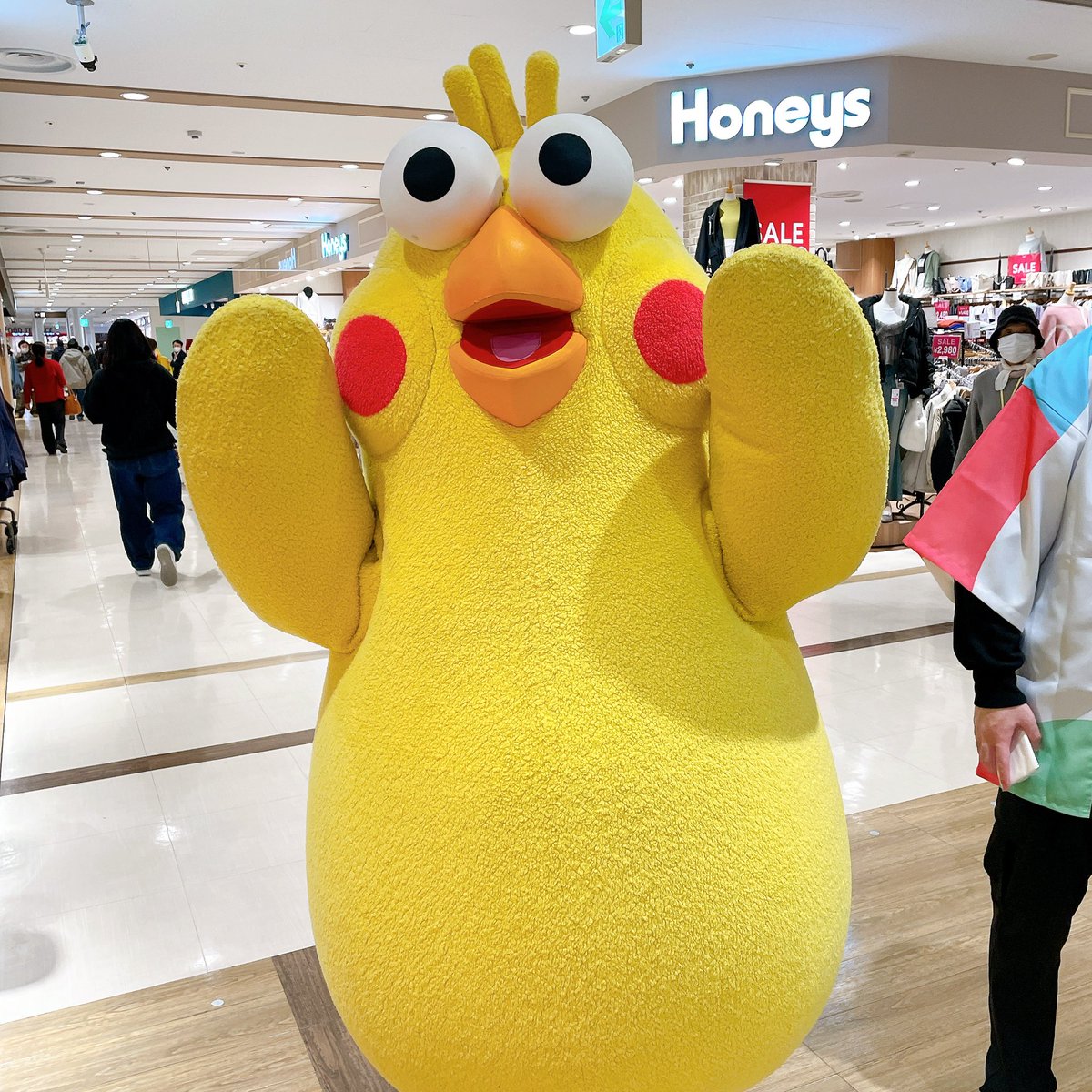 ポインコと山歩き🐥🐥🐾 (@paopaopanda_jp) / Posts / X