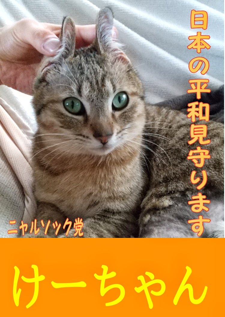 ニャルソック党