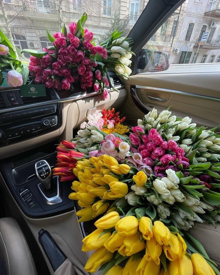 phollukidukaan's tweet photo. https://t.co/FttHpEgBna