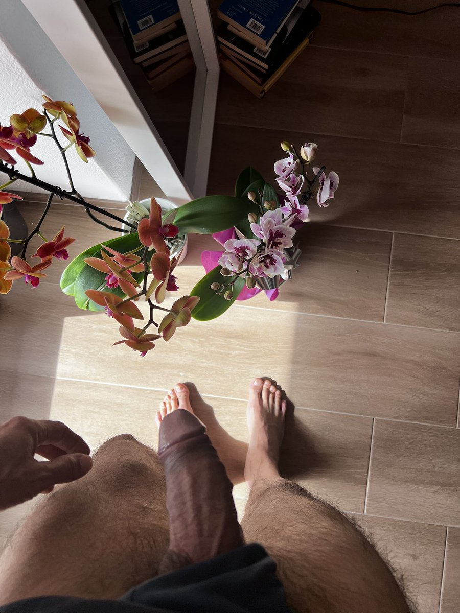 I walk unafraid 🚐🌈 tweet media