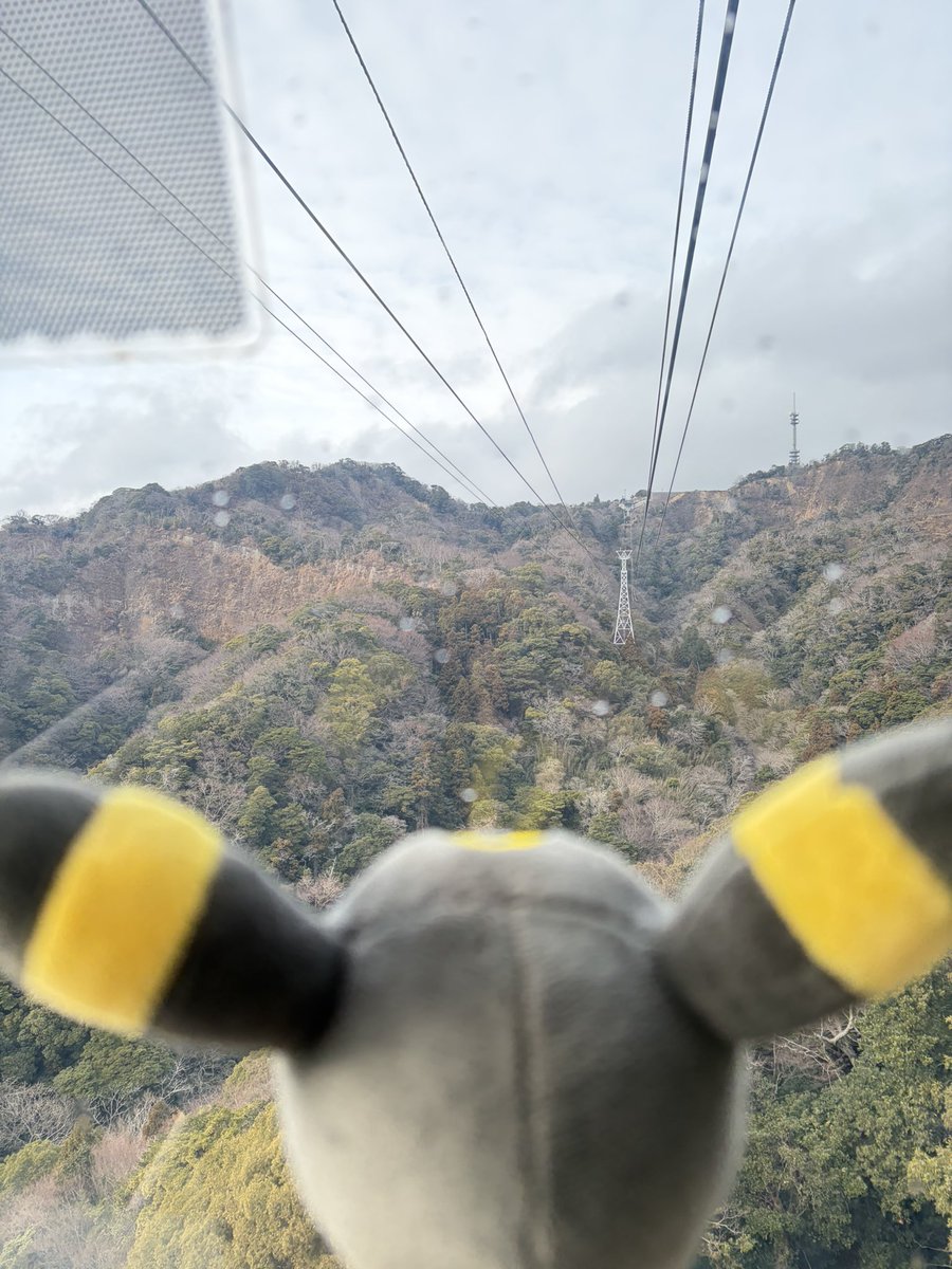 ZeroScarlet1378's tweet photo. ちょうど今日はブラッキーちゃんと静岡旅！
そしてオシャレさせた
 #ブラッキーの日 https://t.co/hYByZ9WLoh