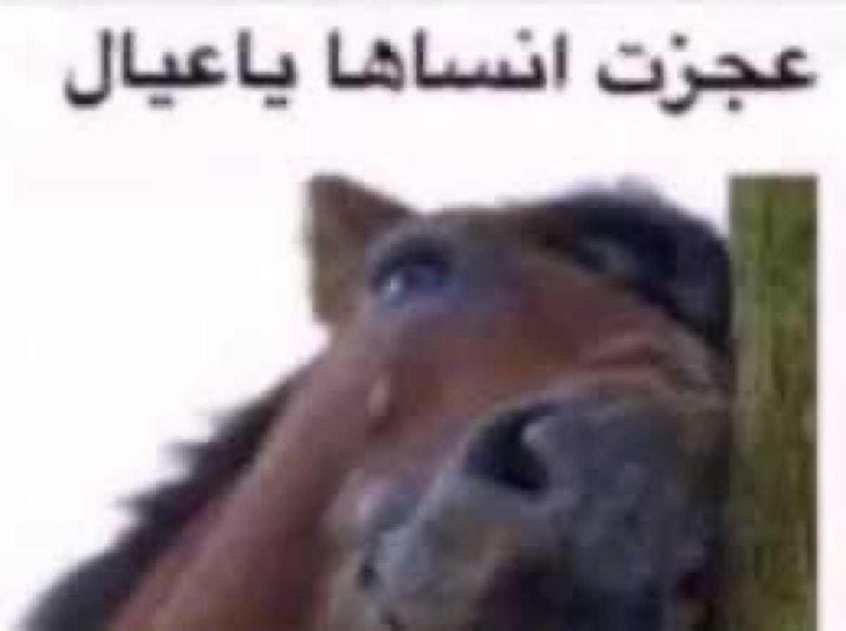 i2jkk's tweet photo. سوف اخذ صف السير دانكن #AKnightOfTheSevenKingdom https://t.co/z8nOfIyjtg