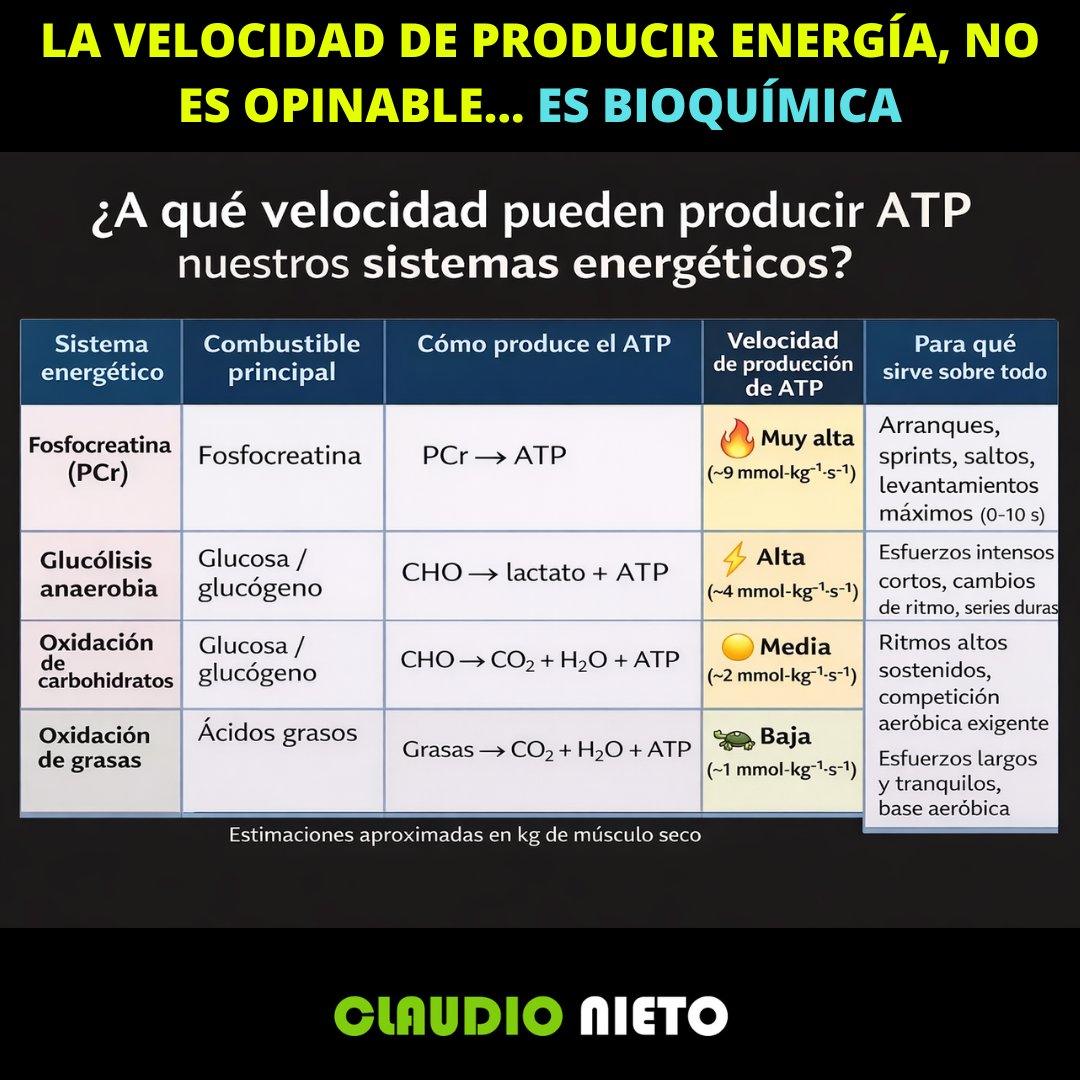No todos los combustibles producen ATP a la misma velocidad.

Si tomamos la grasa como referencia 

• 🐢 Grasas (mitocondria) → ×1
• 🟡 Glucosa en mitocondria (oxidación aeróbica) → ×2
• ⚡ Glucosa en citoplasma (glucólisis → lactato) → ×4
• 🔥 Fosfocreatina (PCr) → ×9