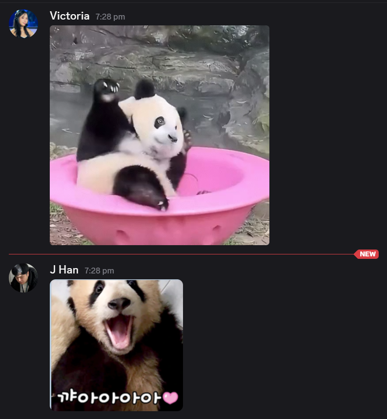 Victoria Cheng (ChubbyNinja) tweet media