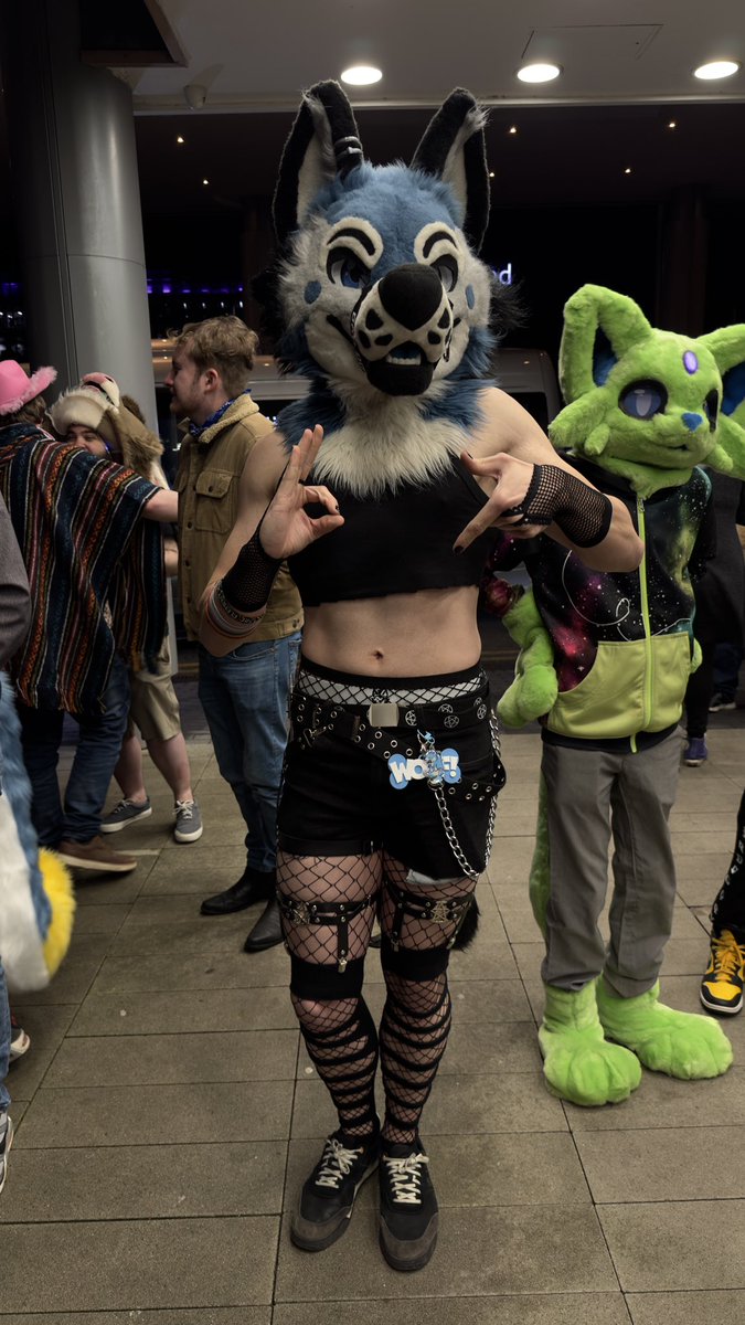 ✨Disty ✨ 🔜 Animalz November tweet media