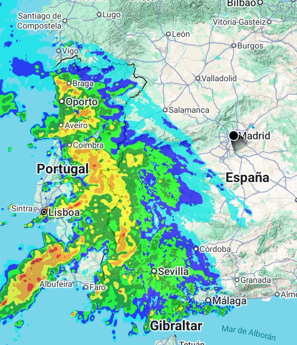 FernandoMadrid. tweet media