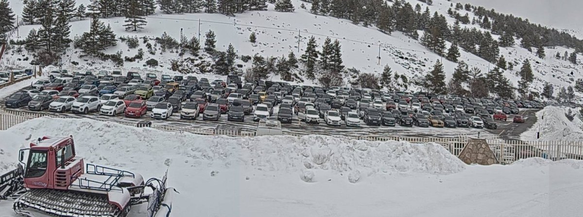 FernandoMadrid. tweet media