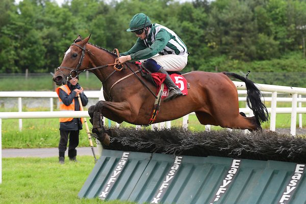 Shark Hanlon Racing tweet media