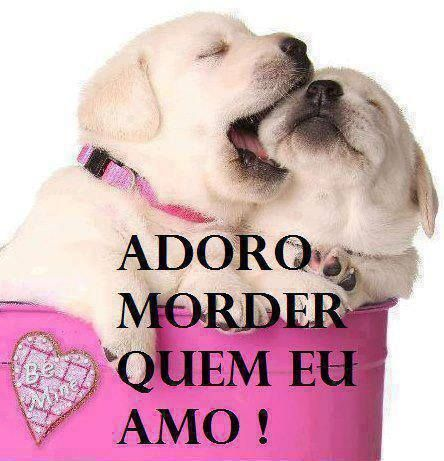 odeiootaco's tweet image. 