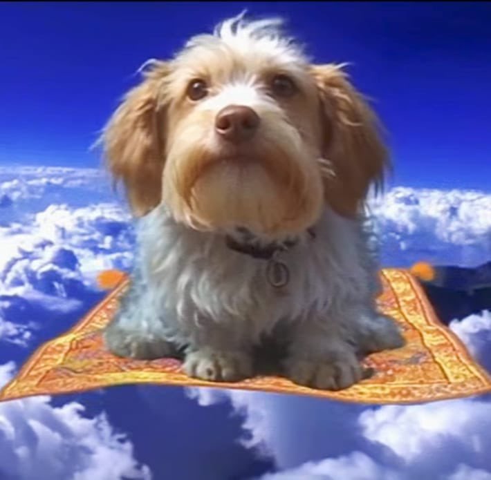 Guilherme Skywalker tweet media