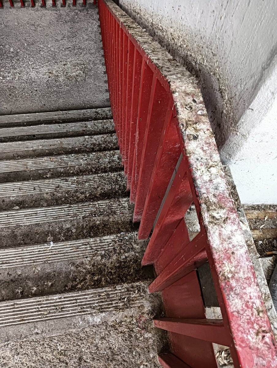 FernandoSebas73's tweet photo. @partidazocope @LaLiga @RayoVallecano @RealOviedo "El terreno de juego no reúne las garantías necesarias..." https://t.co/EBLw8zTch1