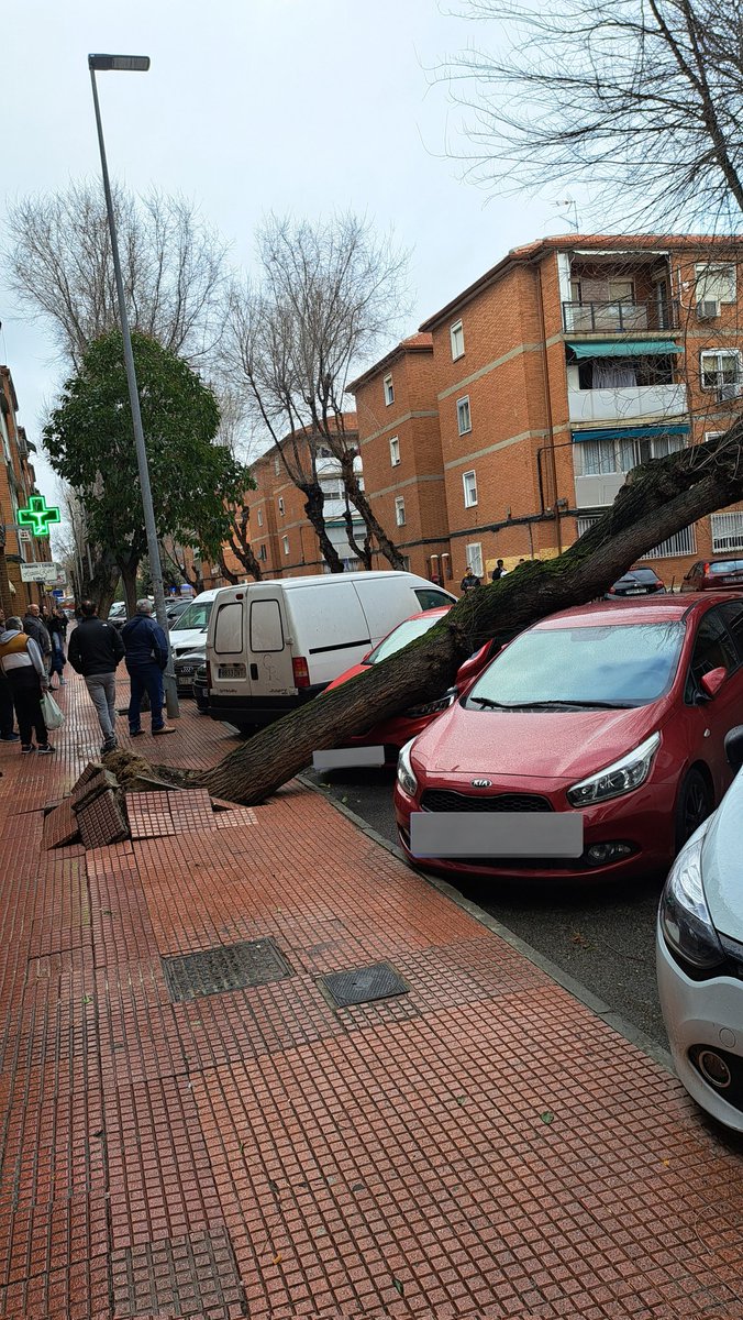 Asociación de Vecinos Cisneros tweet media