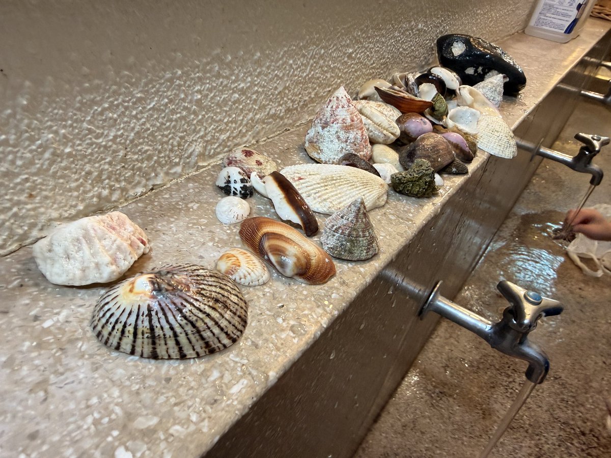 【君の旅キャンプ】
〜本州最南端〜

今、流行りのシール交換…
ではなく、シェル交換🐚
海で見つけた貝殻の交換会
はじまりました✨

#こども
#アウトドア
#キャンプ
#ジャパンアウトドアファクトリー
#子どもキャンプ
#JOFあわくらキャンプ