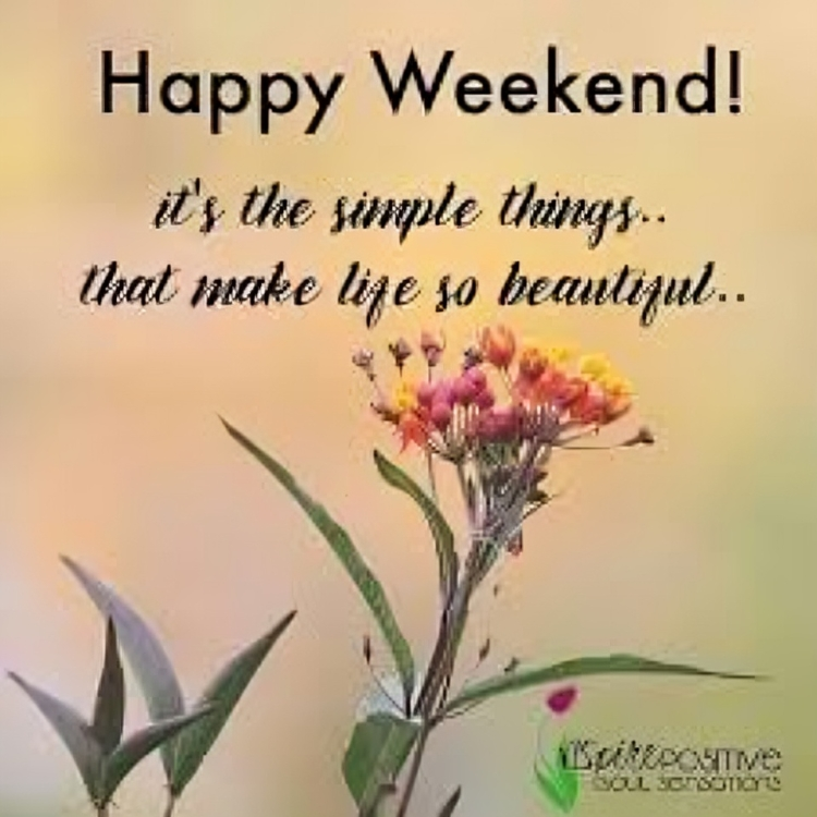 DavidHilla23965's tweet image. Wishing you the same peace, joy, and little moments of magic wherever you are.
What's making your weekend beautiful?
#BeautifulWeekend #WeekendVibes #LagosLife #AuthorLife