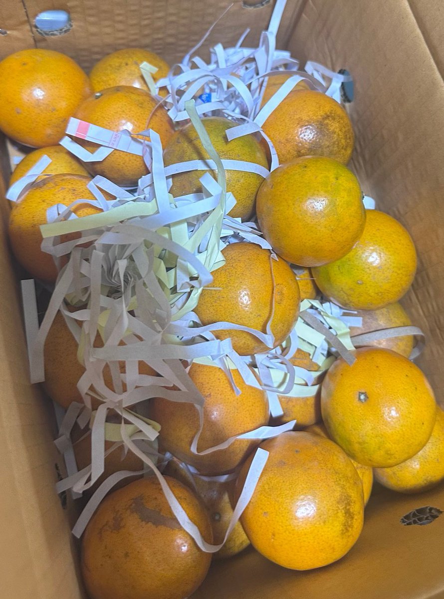 มาค่ะ เทรนให้สุดหล่อในเมืองสุดท้ายที่จีน <a href="/TKitikard/">🚩Thassanee_BamBam🚩</a>  ฝากแจก...
🍊ส้มสายน้ำผึ้ง 3 โล 1 แอค
รี,,เฟบ,,เม้น เทรนแท็กค่ะ ส่งกำลังใจให้มาร์คค่ะ♥️😍

MARK TUAN SILHOUETTE FANCON
#MarkTuanTheShapeOfYou_Qingdao