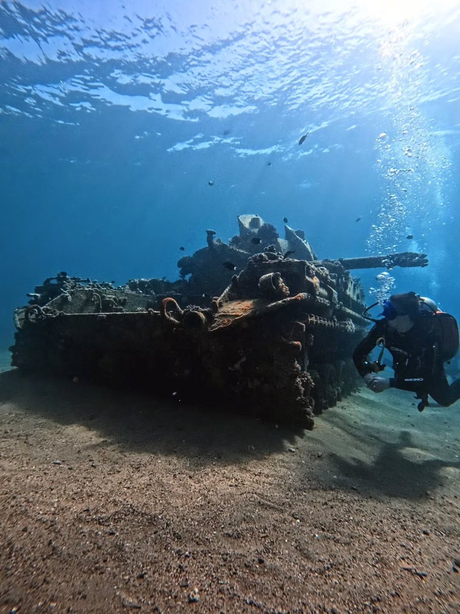 زوروا الأردن tweet media