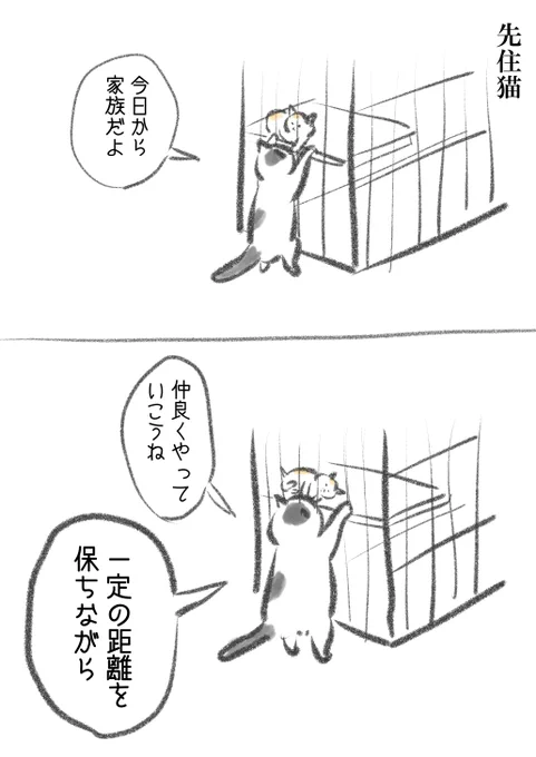 (3/6) 