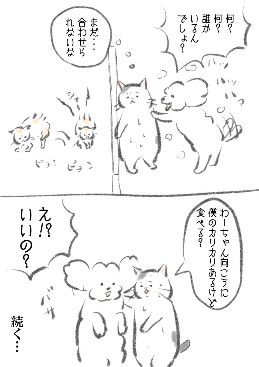 (4/6) 