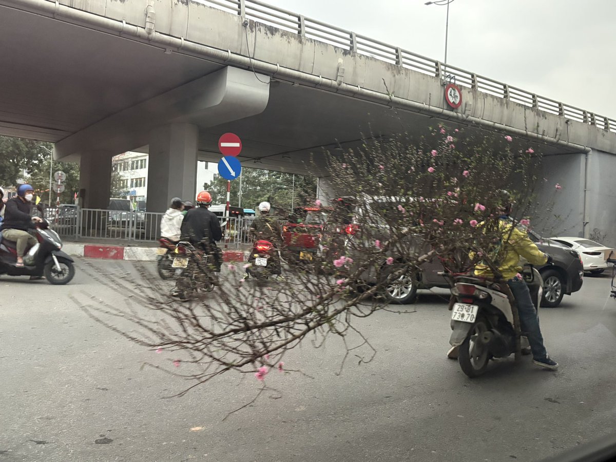 バイクで桃の花🌸
街がテトテトしてる🧧
