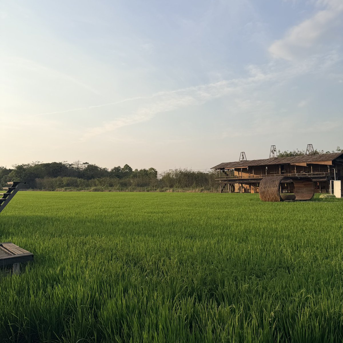 เลิฟของหวานถึงตัวเป็นหมู✨😋