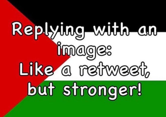 T-ReX 🇵🇸 🇸🇩 🇨🇩 tweet media