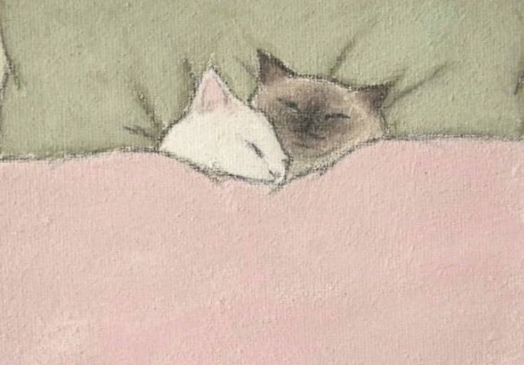 ♡ (@artcelinelove) on Twitter photo 