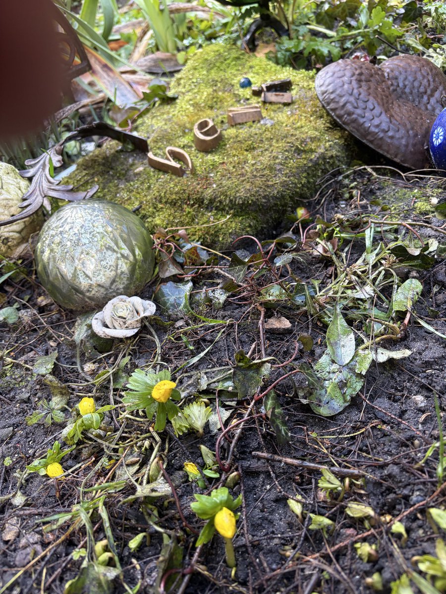 Hi Pfreunde, guckt mal: bei mir da unten blüht es schon! 😺