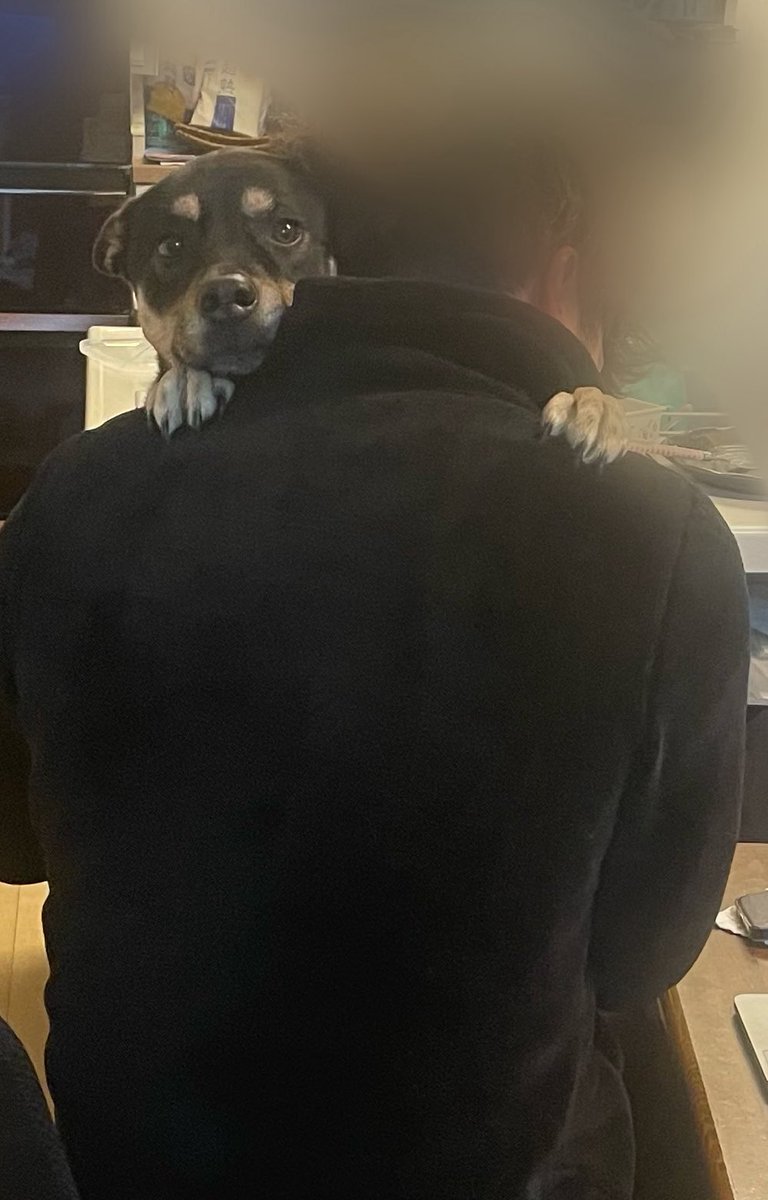 かわいすぎるし尊すぎる、、、
こんなに愛に溢れた生き物がいるんですね、、🥹