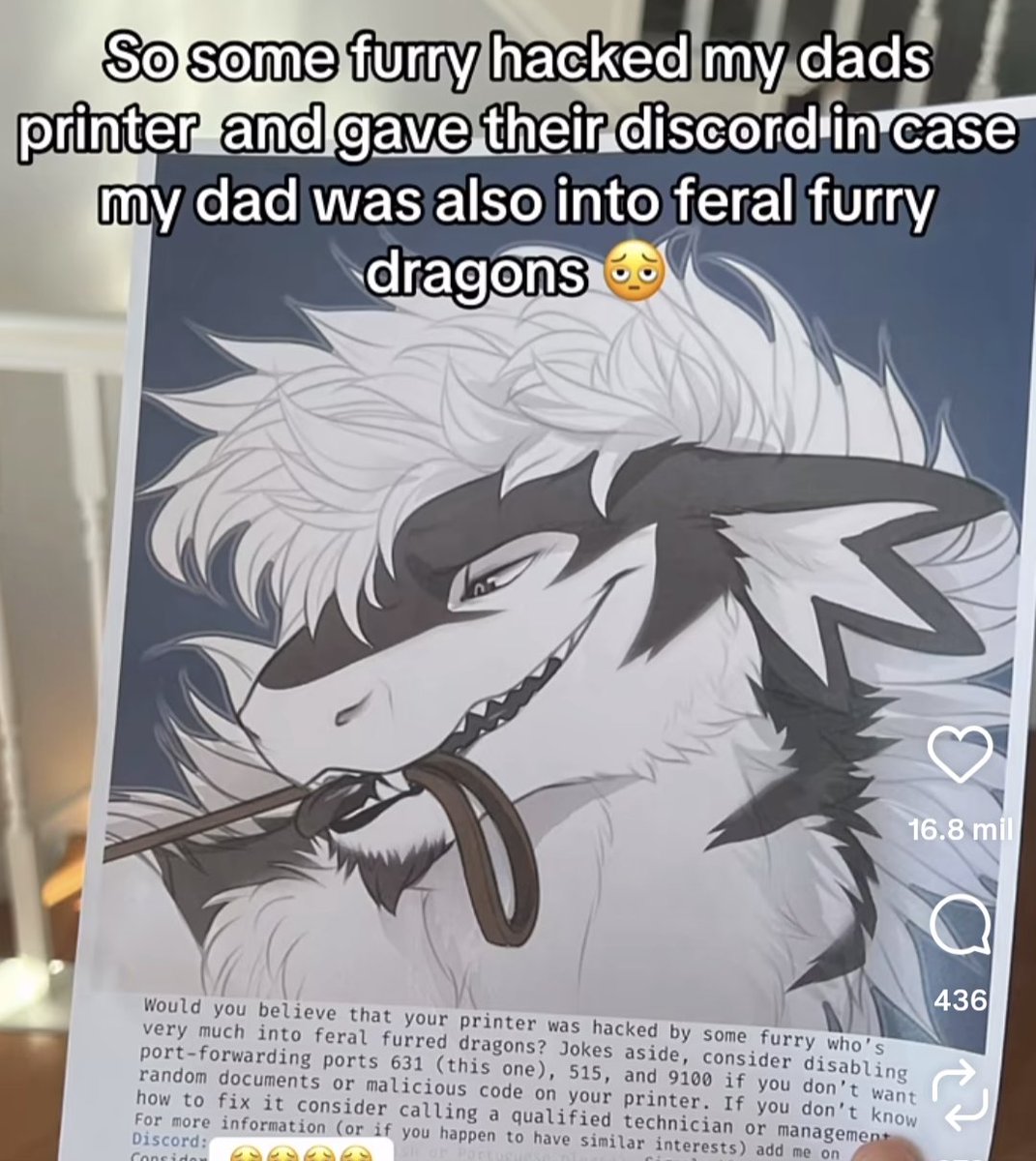 Zya (@imnamelessfurry) on Twitter photo 