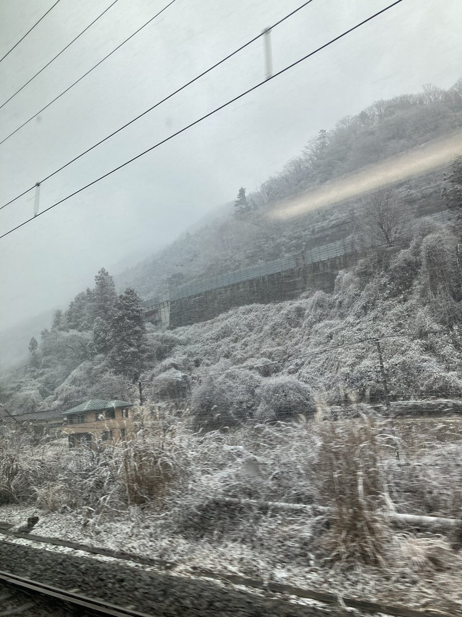 おお移動中雪が結構降ってきた。