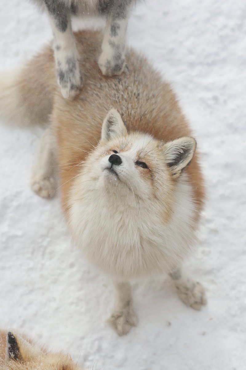 ひだりてはそえるだけ