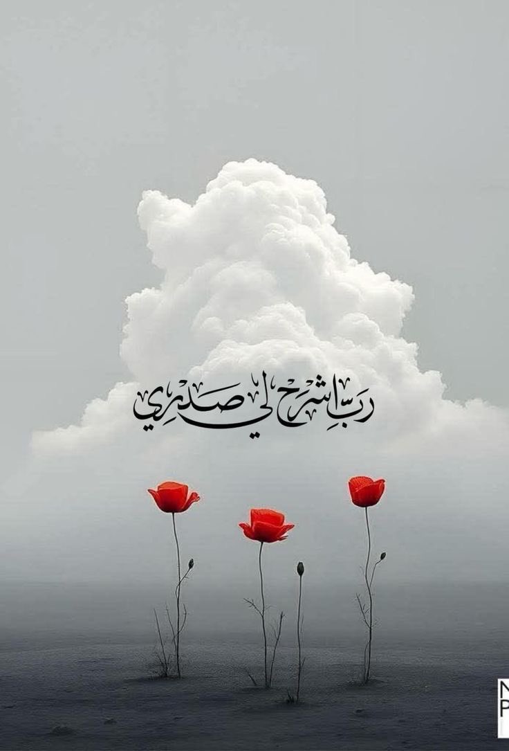 EabirMae76345's tweet image. “الأخلاق ليست كلمات تُقال، بل أفعال تُمارَس عندما لا يكون الطريق سهلًا.”
#مساء_الخير 
#مساء_الخير_والسعاده