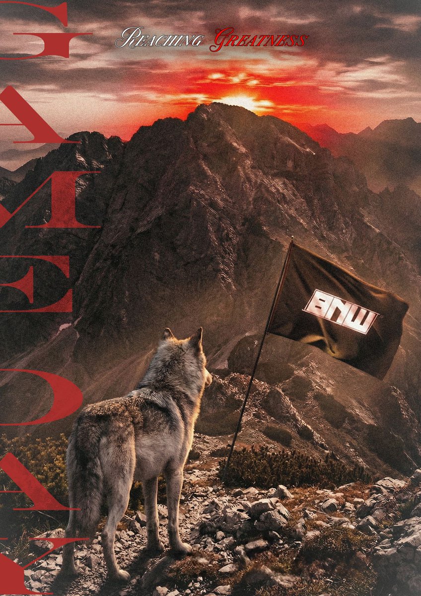 Black N White E-Sport tweet media