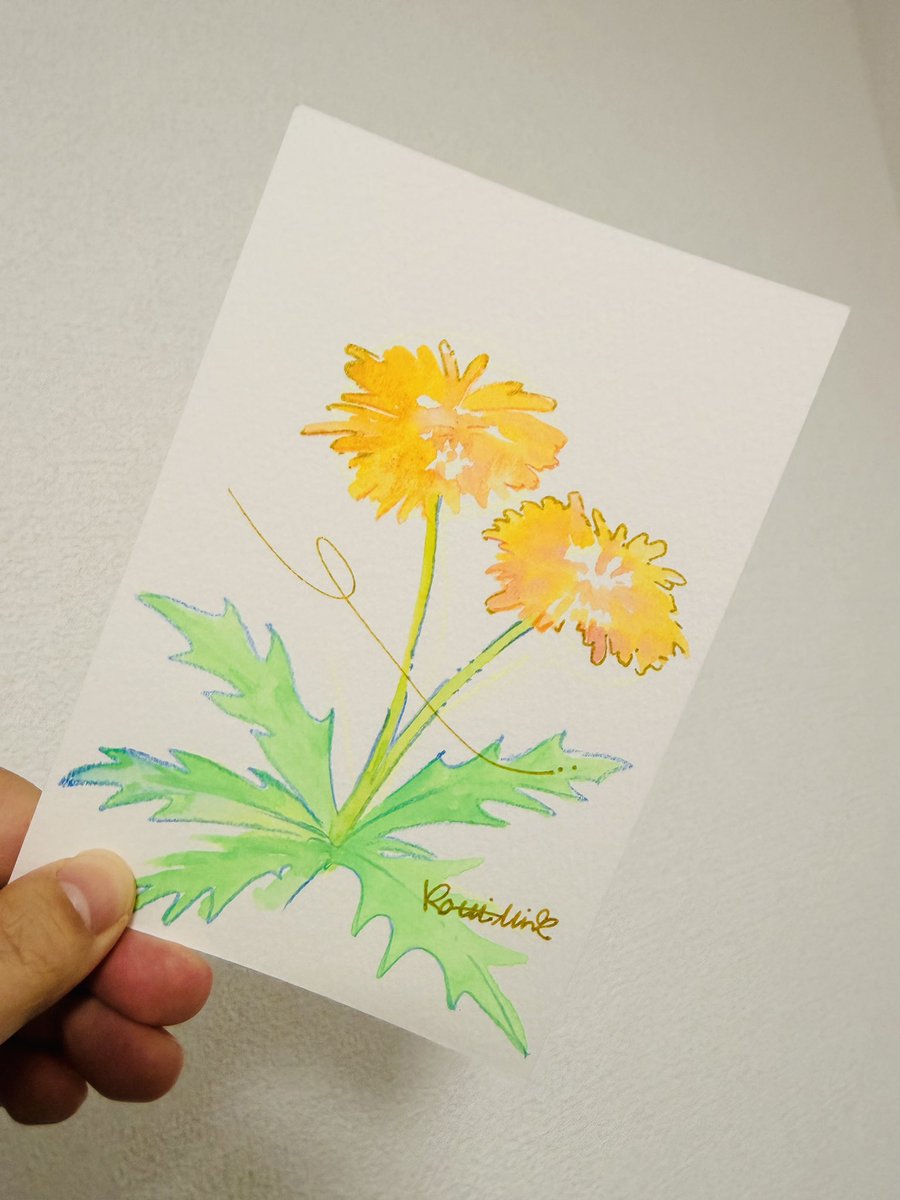 #今日の一枚
#たんぽぽ