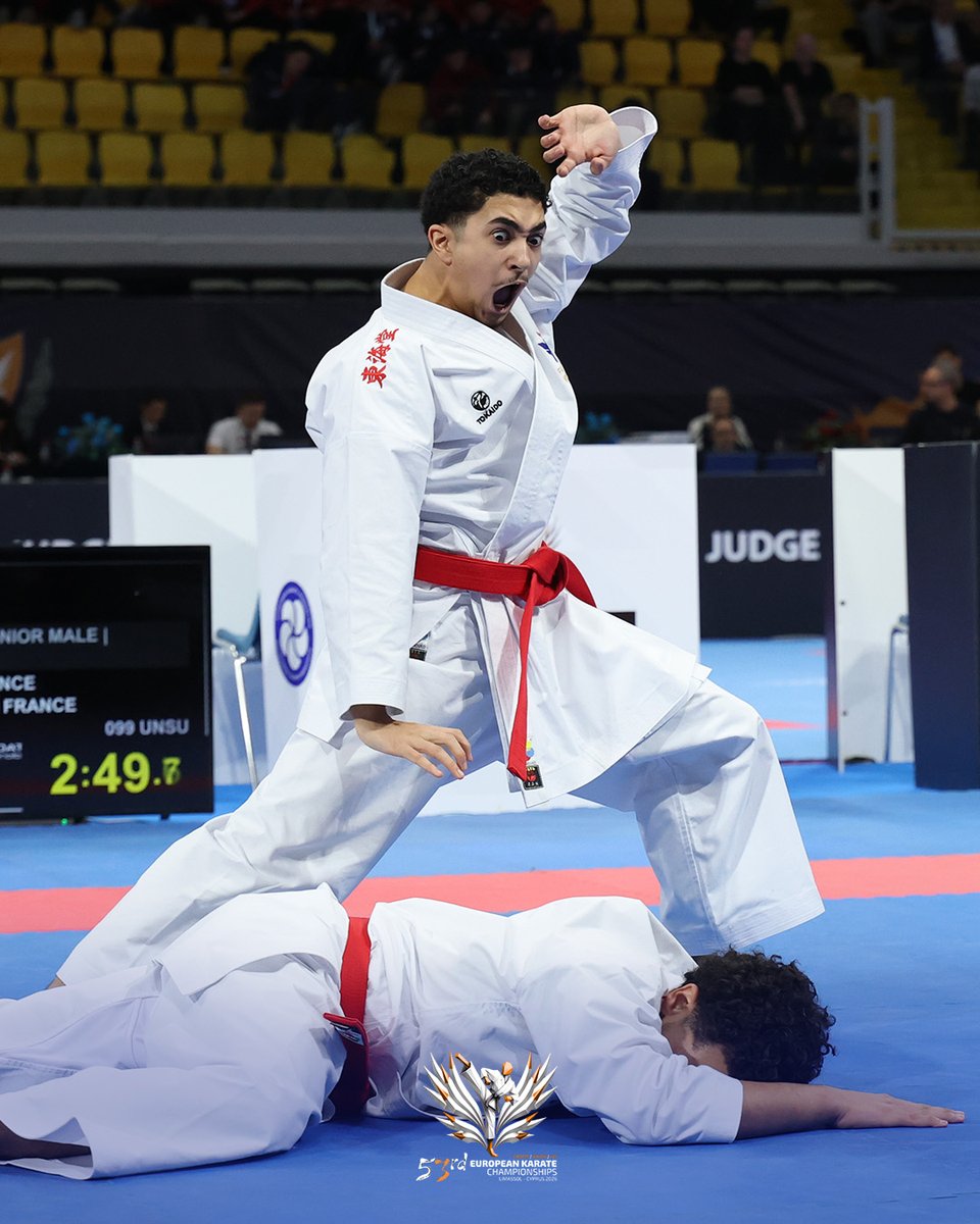 FFKaraté tweet media