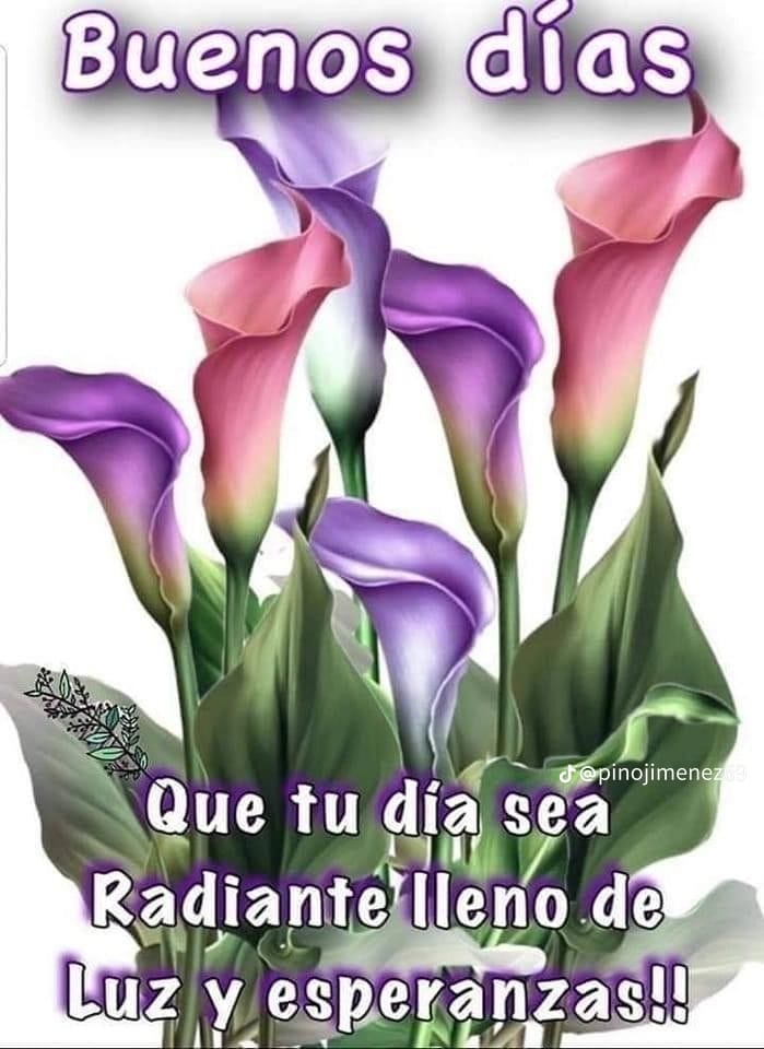 Buenos días a todos/as os deseo un feliz día.
🙋🏻‍♀️😍😘❤️🌊🌊🌊