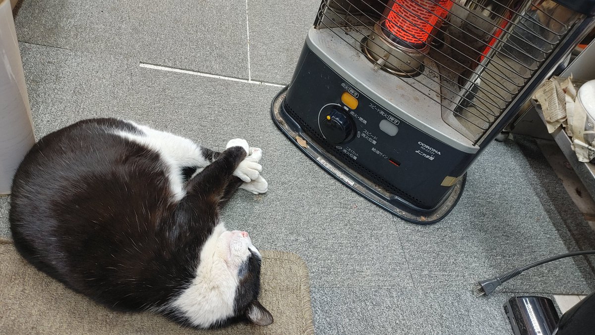 雪が降る峠のクマタコ🐻 ハッチ🐱もストーブの前で 暖をとる タヌキ汁