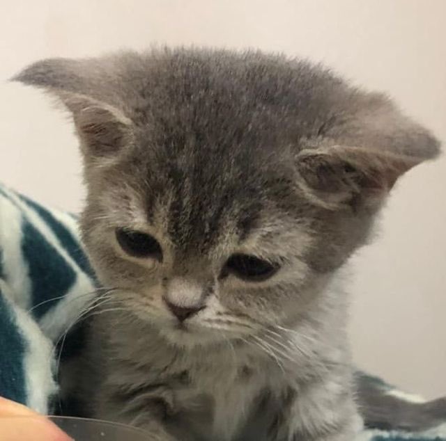 ㅠㅡㅠ ㅠㅡㅠ ㅠㅡㅠ