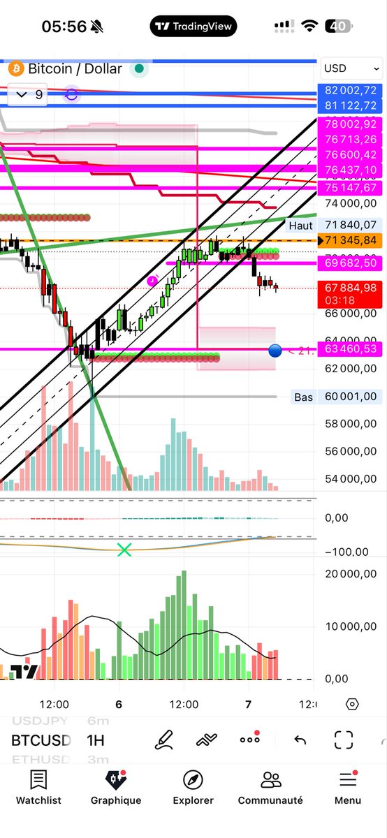 StellarFreedom tweet media