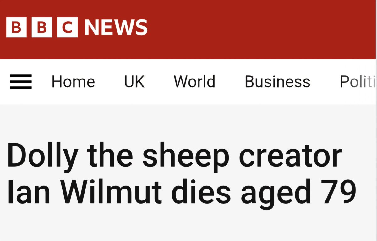 Julie D Irwin tweet media