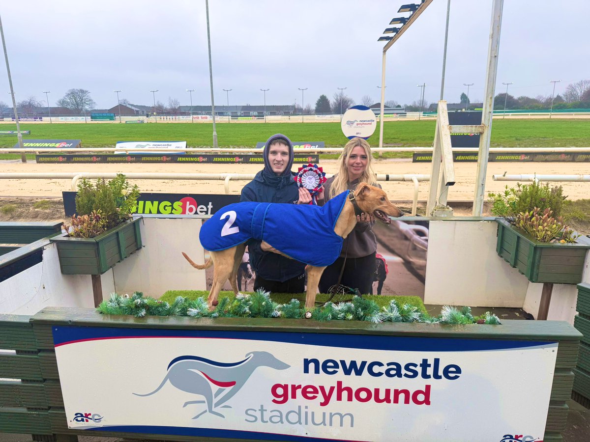 NewcastleDogs's tweet photo. ‘Bould’ is our January Dog of The Month, winning 3/3 races 🏆 @HannahFenwick13
#lovethedogs https://t.co/gLyuiXjYsb